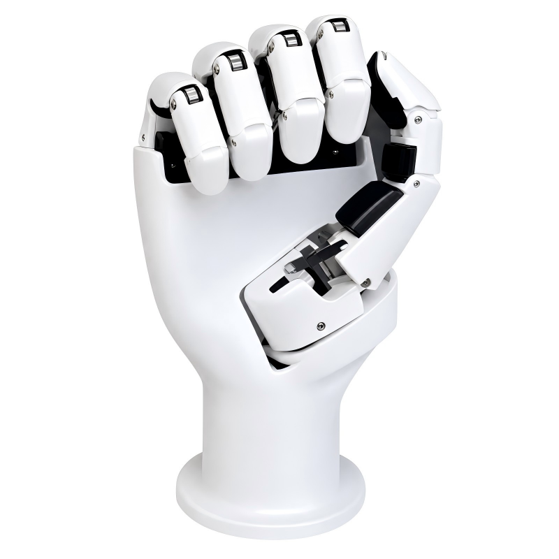 AmazingHand 6 Dof Robotic Hand - Science Robot review and price