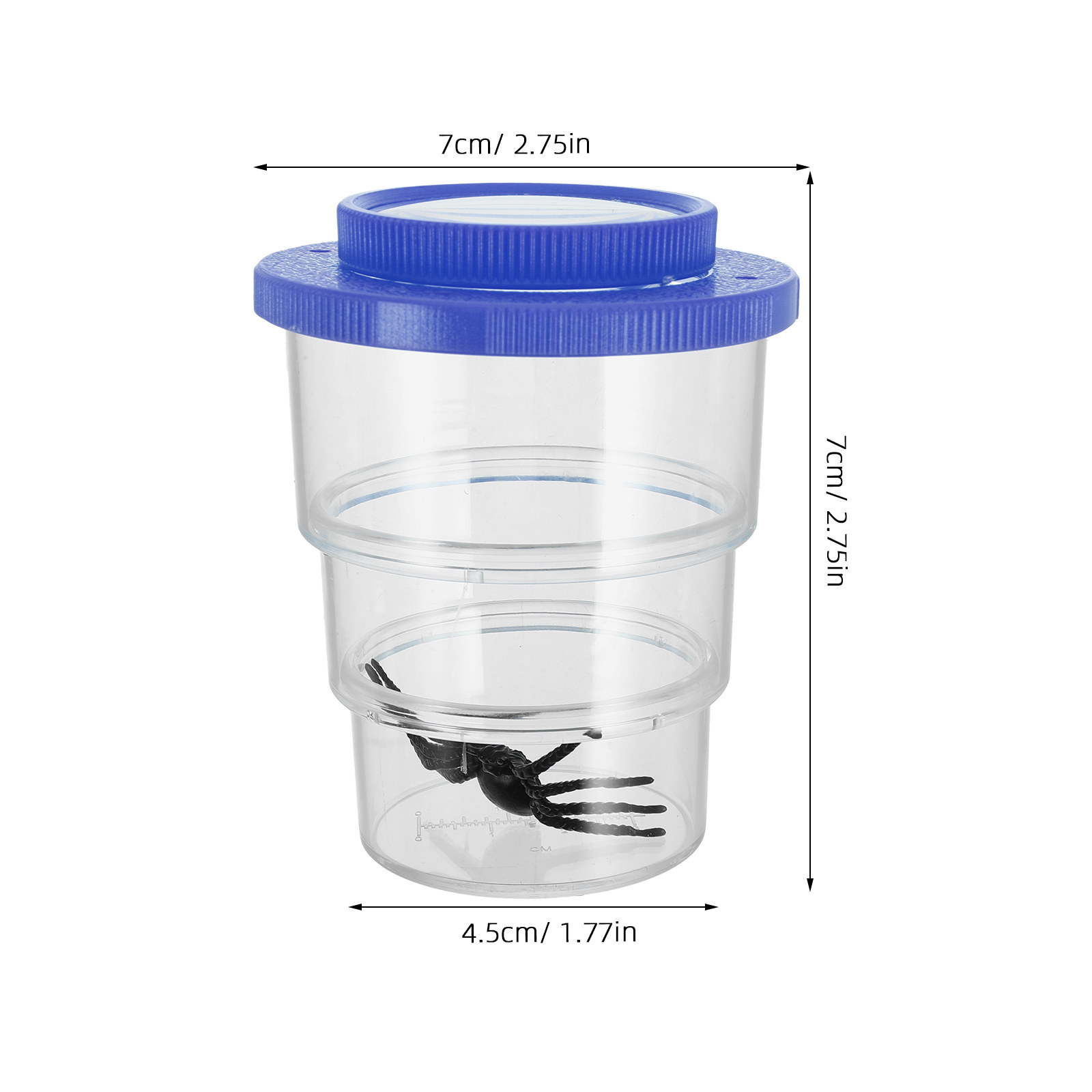 Three-Section Insect Observati - Science Nature review and price