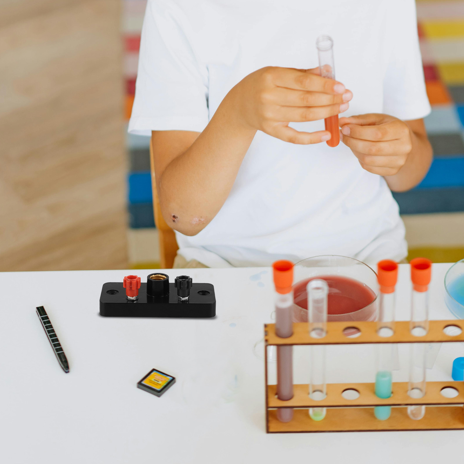 E10 Light Socket Base Screw Ty - Science Experiment review and price